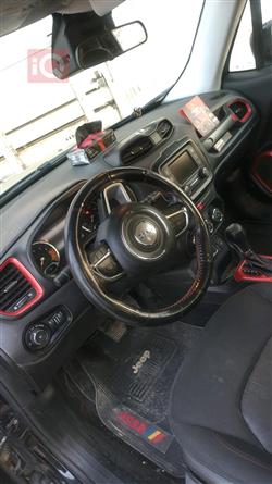 جيب رينيجيد